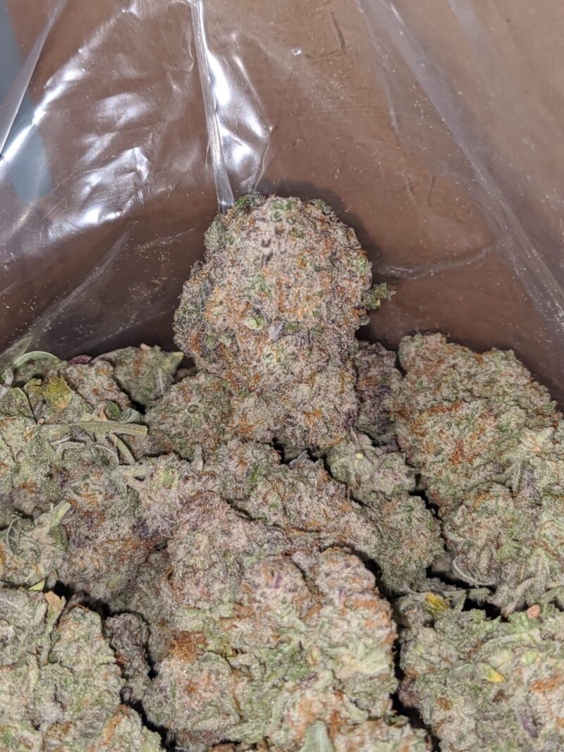 GMO Zookies - Image 4