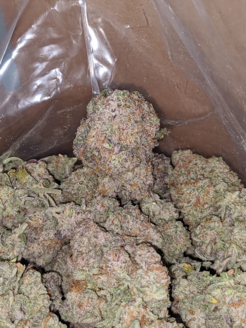 GMO Zookies - Image 7