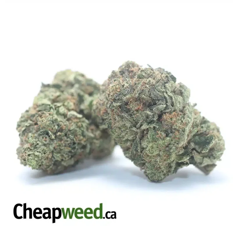 God Bubba #2 - Image 2