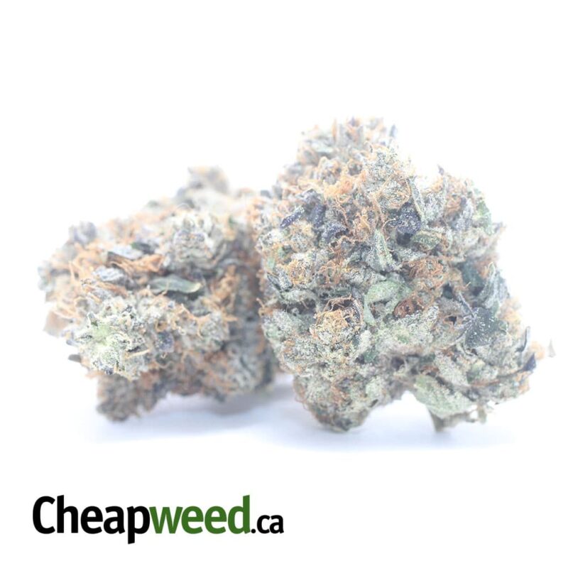 Godfather OG - Image 2