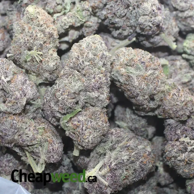 God’s Green Crack - Image 3
