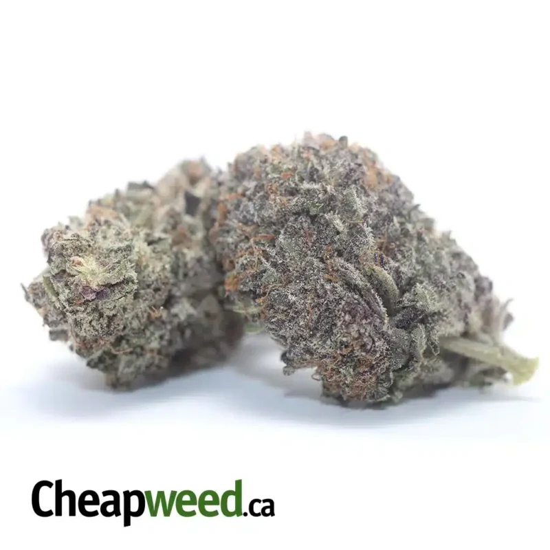 God’s Green Crack - Image 2