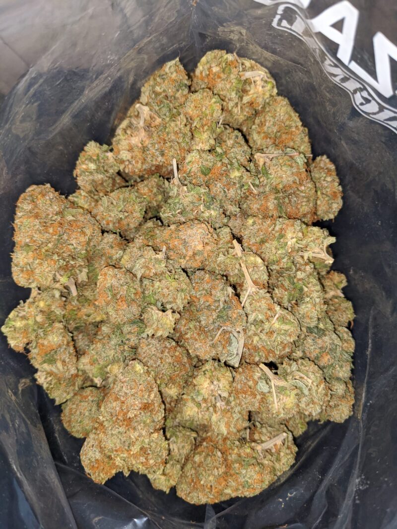 Goji OG