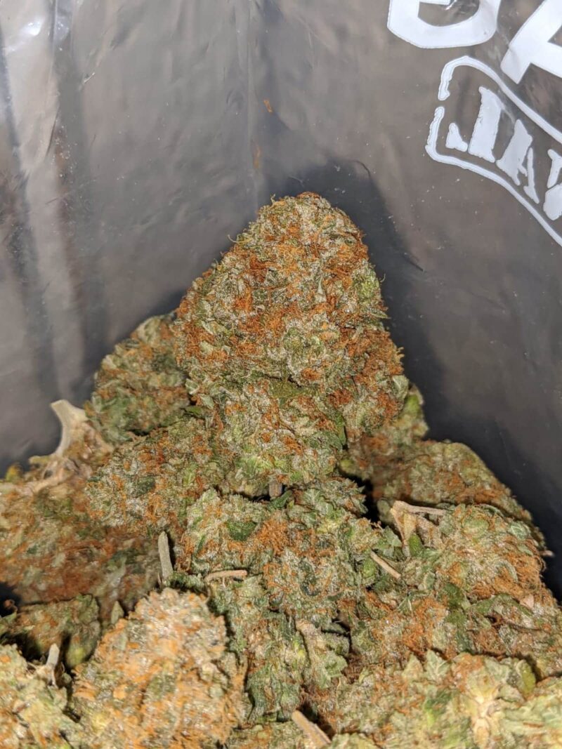 Goji OG - Image 4