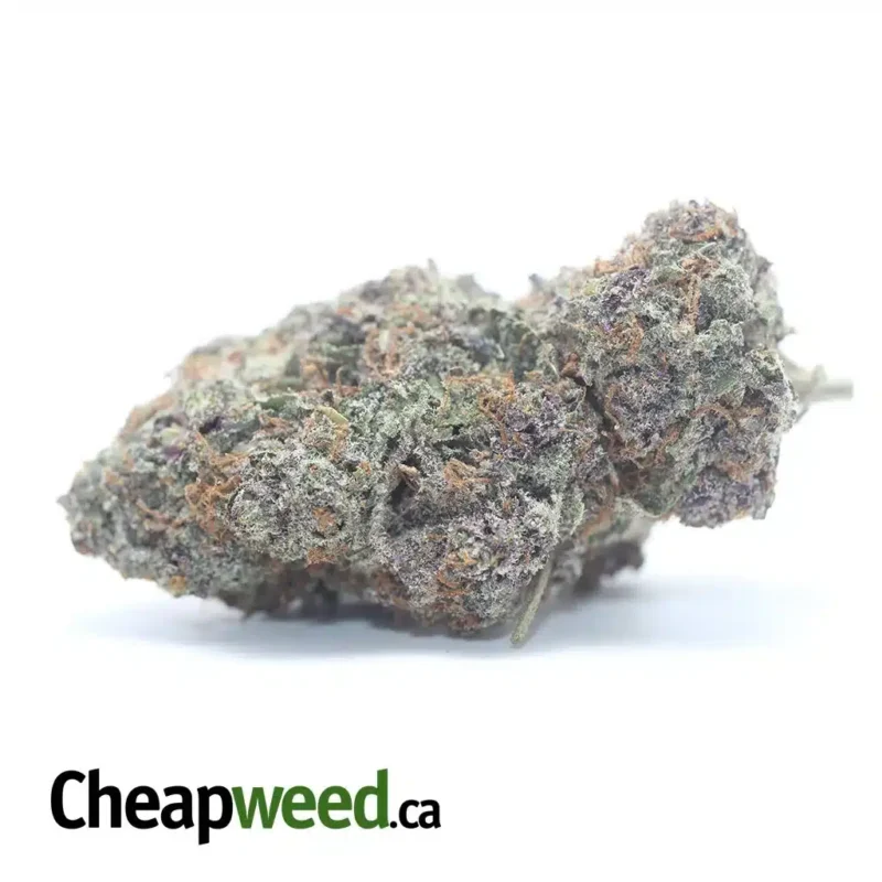 Granddaddy Purple
