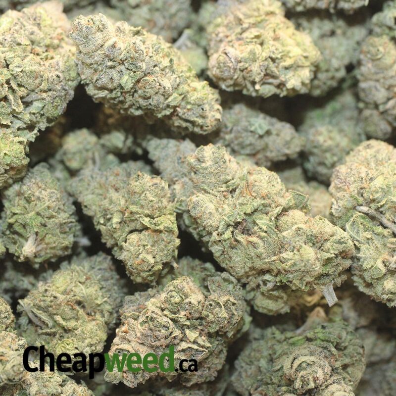 Grape Runtz - Image 3