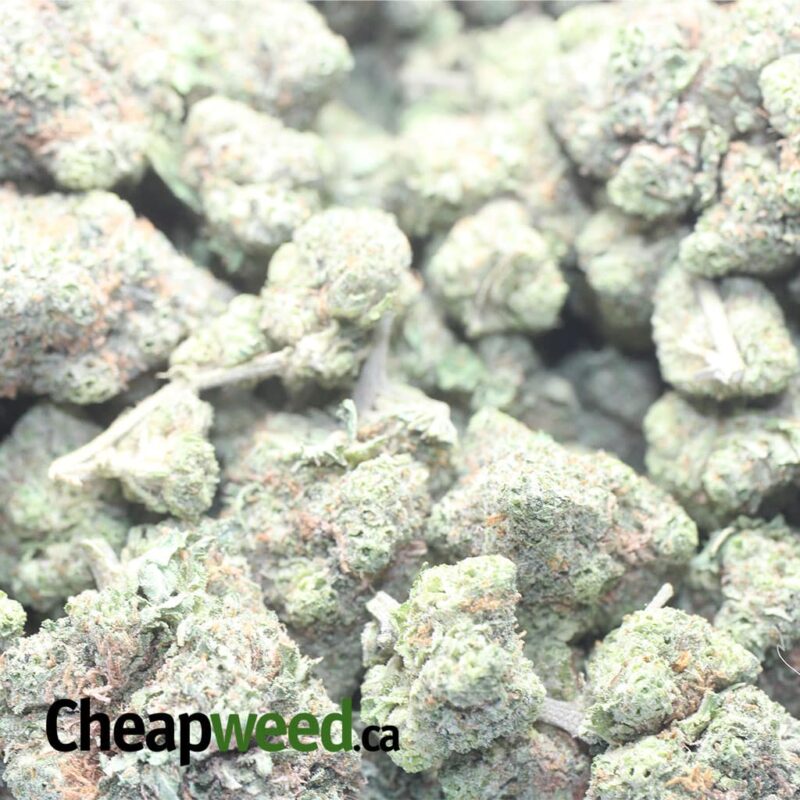 Green Goblin - Image 3