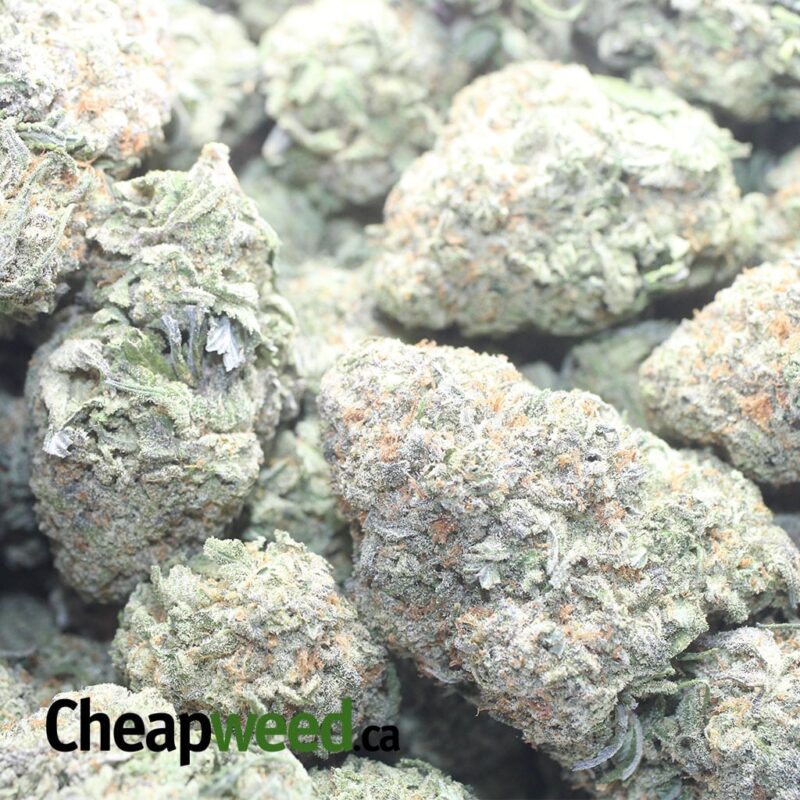 Green Nuken #2 - Image 3