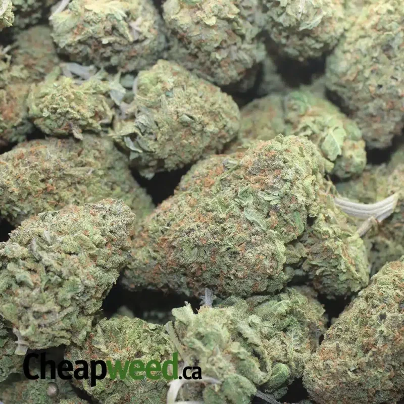 Green Nuken - Image 3