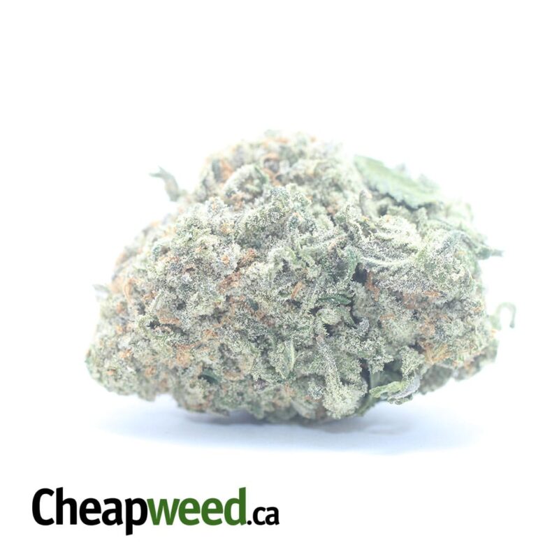 Green Nuken #2