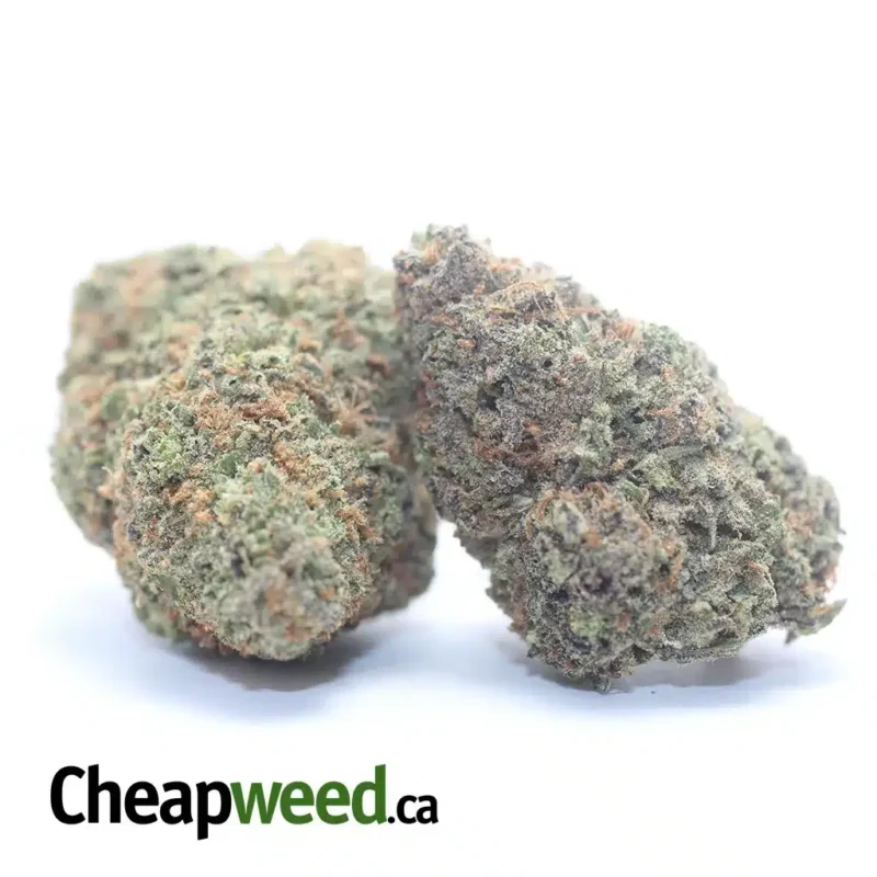 Green Nuken - Image 2
