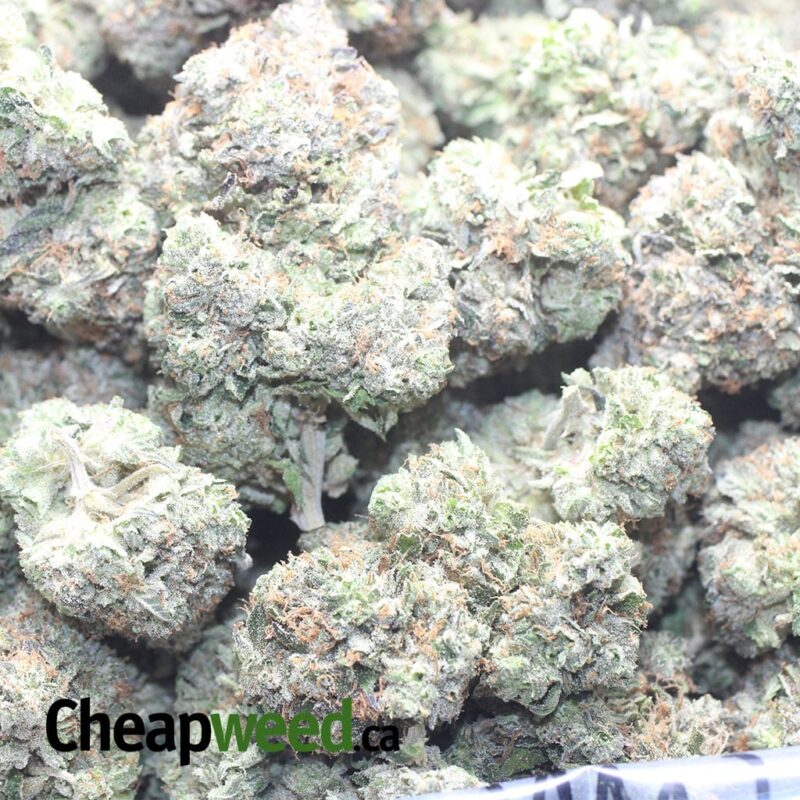 Greenfarm’s MK Ultra - Image 3