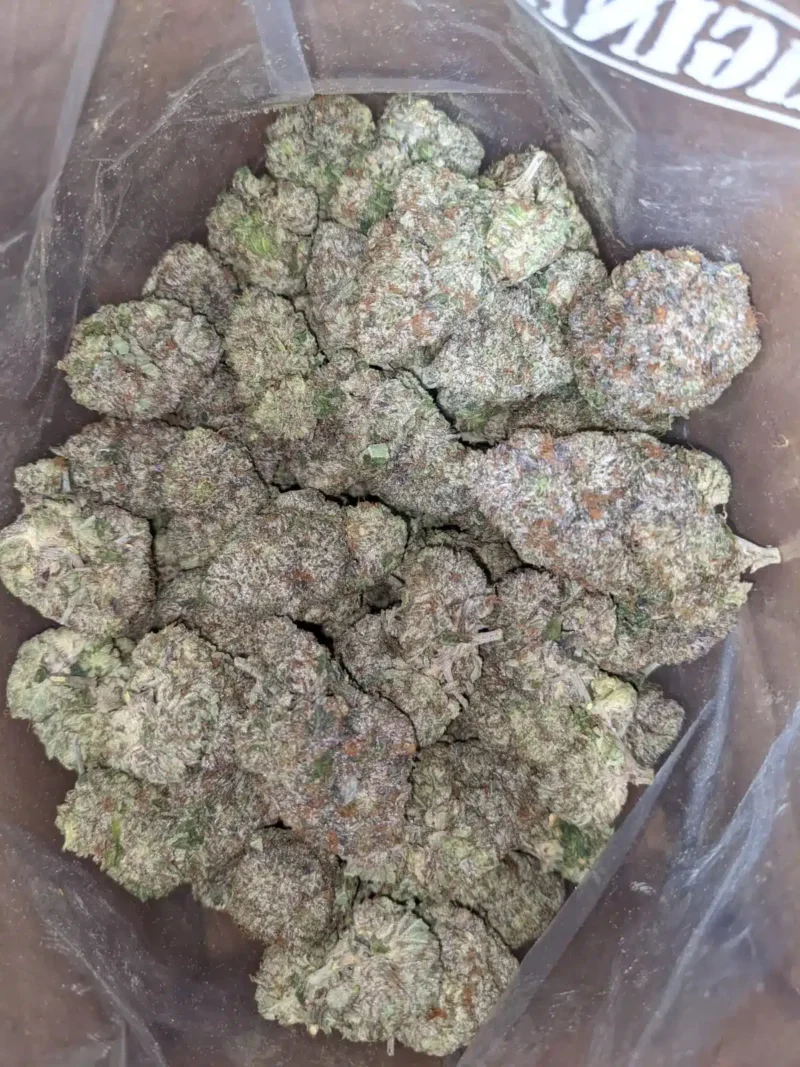 Gucci Pink #2