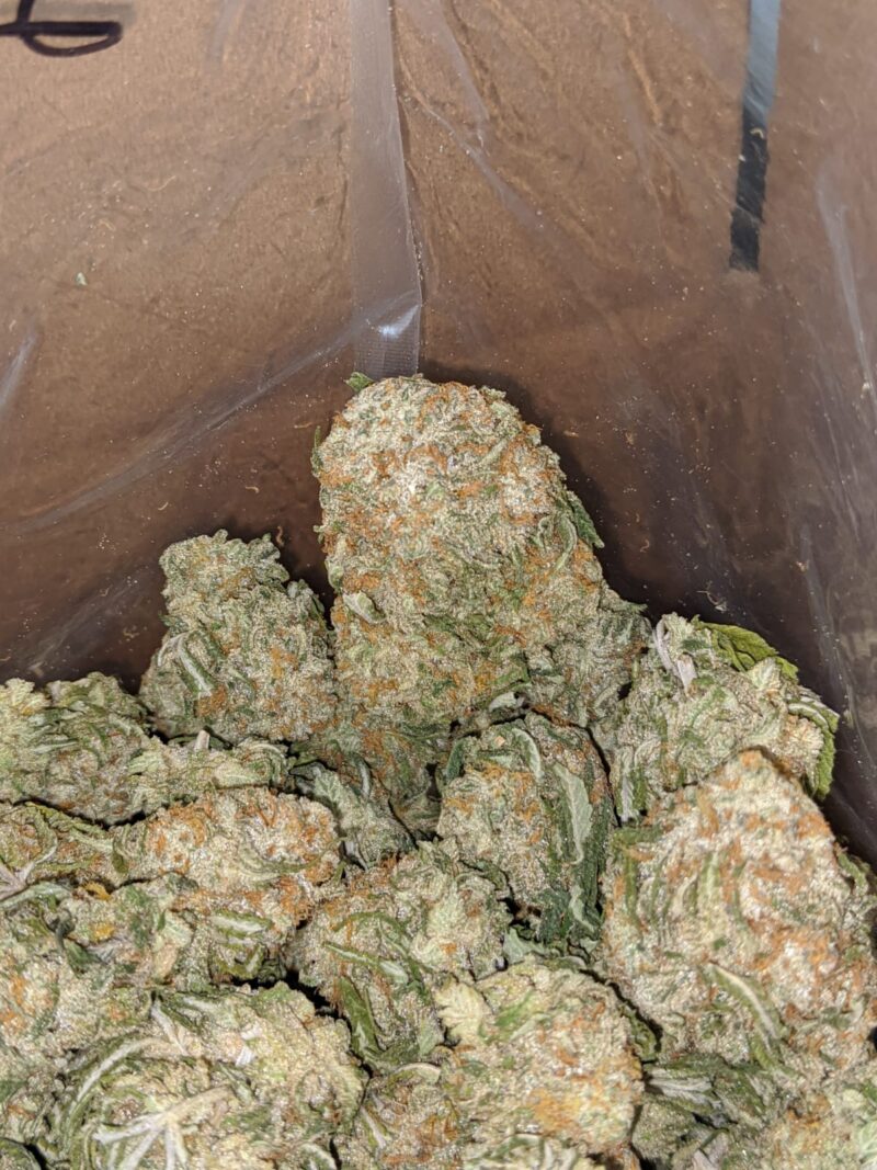 Galactic Cookies - Image 4