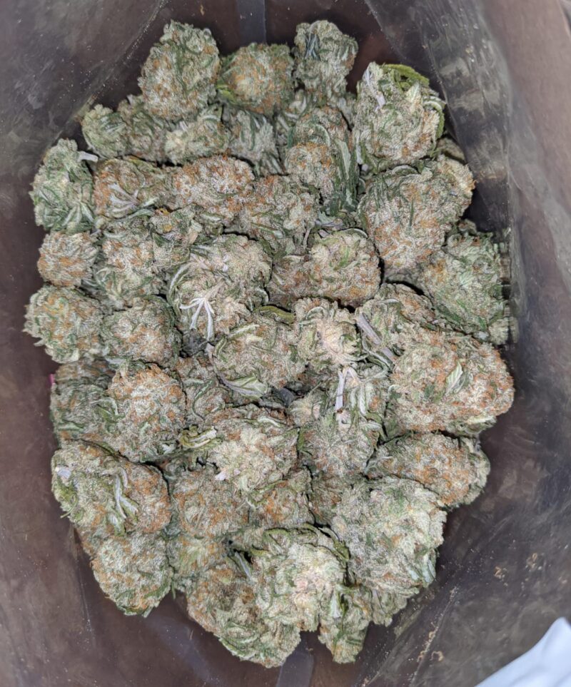 Galactic Cookies - Image 5