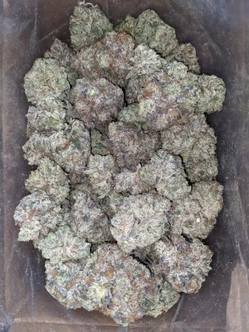 Gangster Kush - Image 4