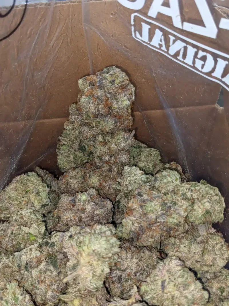 Gangster Kush - Image 7