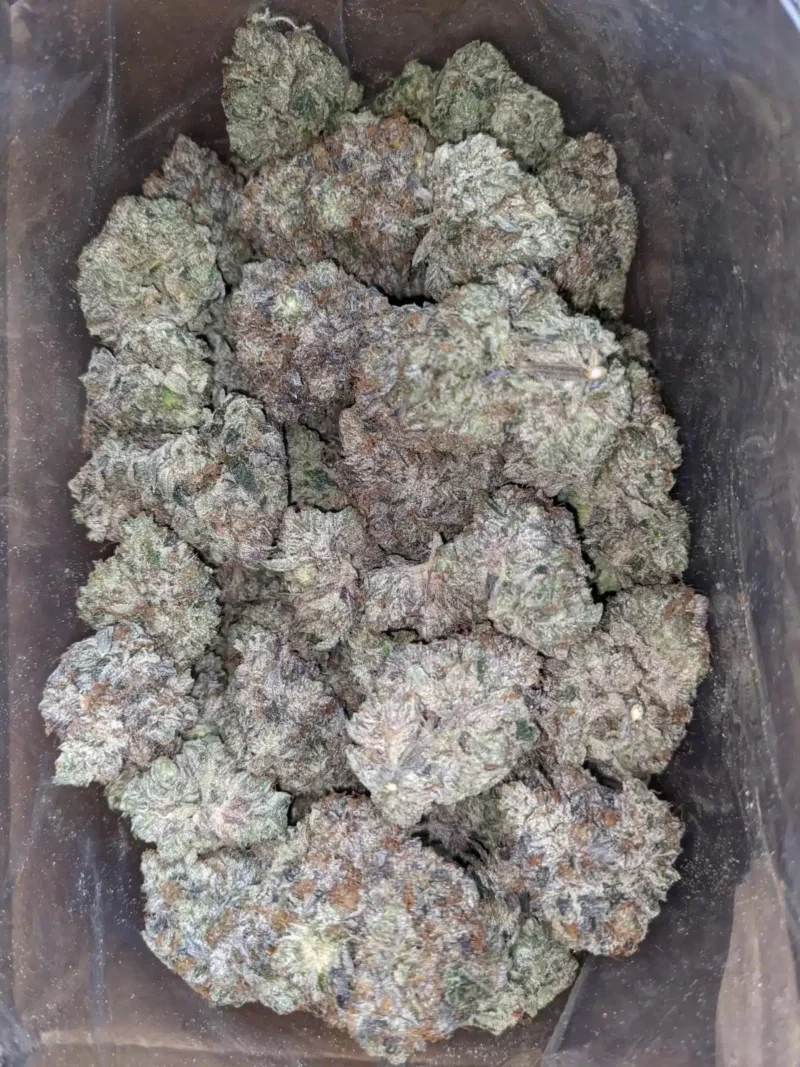 Gangster Kush - Image 6