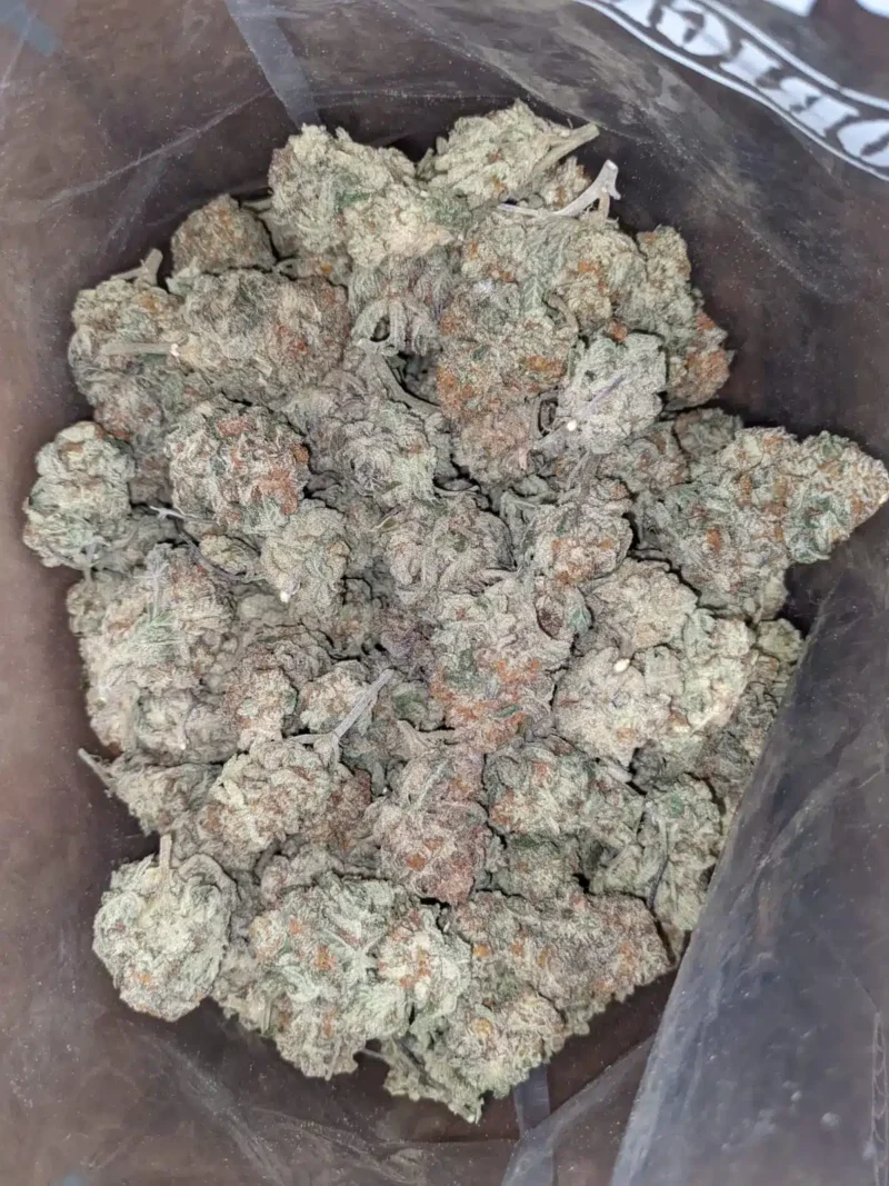Garlic Breath #2 - Image 5