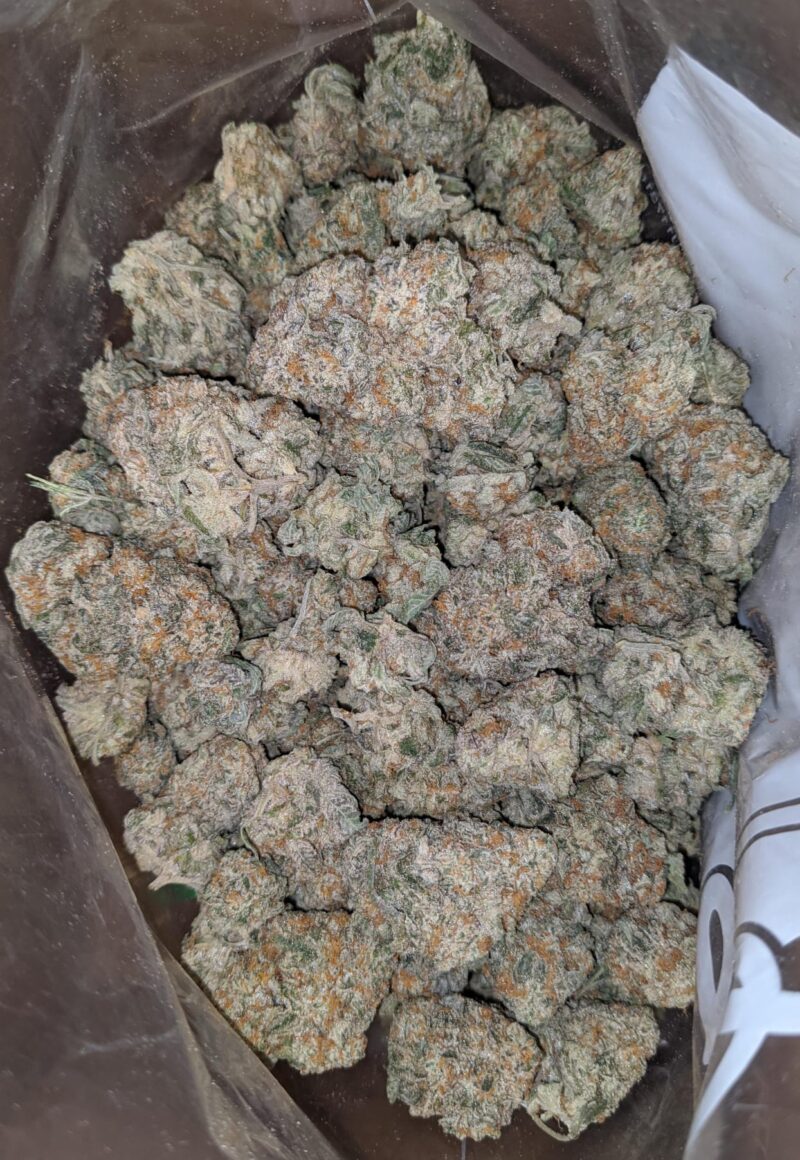 Garlic Breath - Image 4