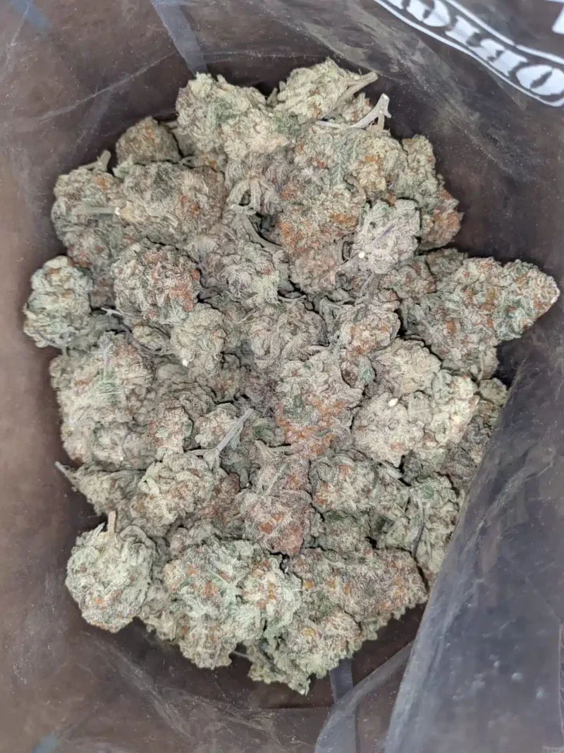 Garlic Breath #2 - Image 4