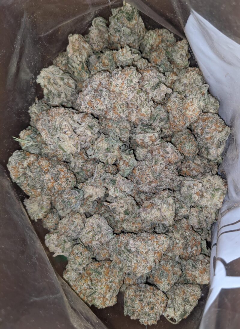 Garlic Breath - Image 7