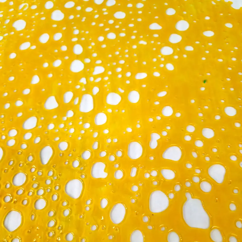 Gary Payton Shatter