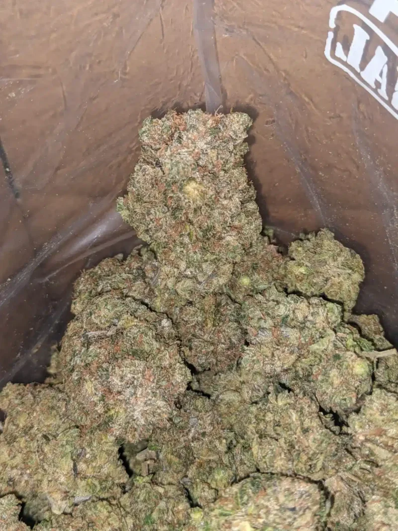 God Bubba - Image 7