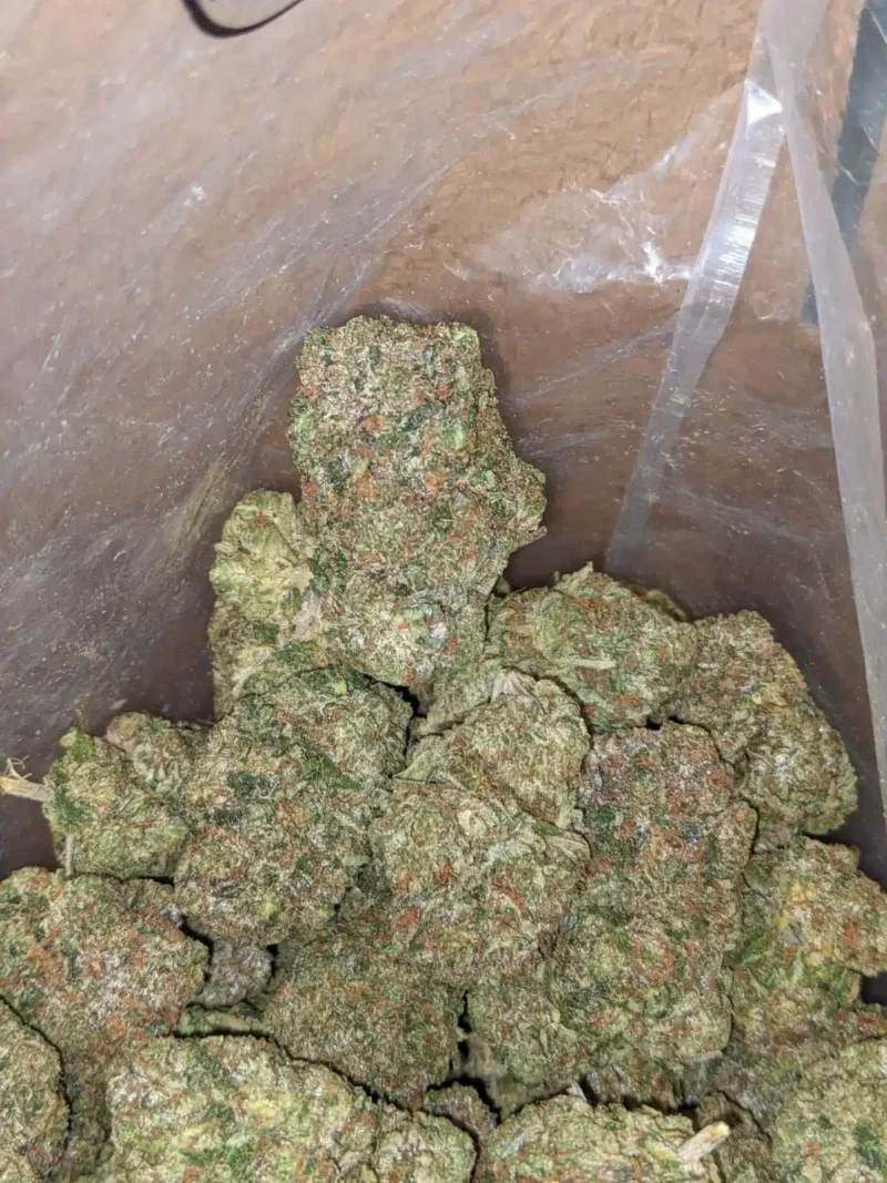 God Bubba #2 - Image 5