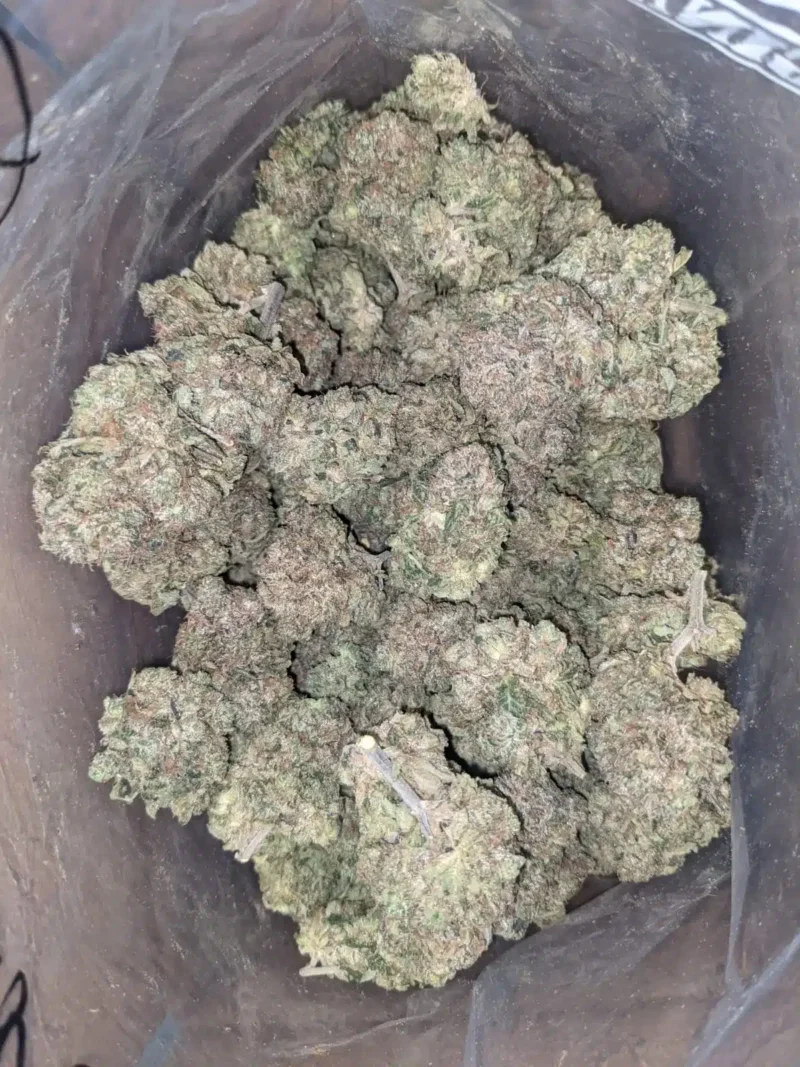God Bubba - Image 5