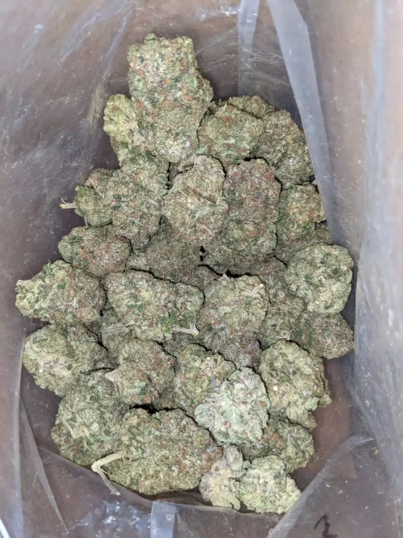 God Bubba #2 - Image 4