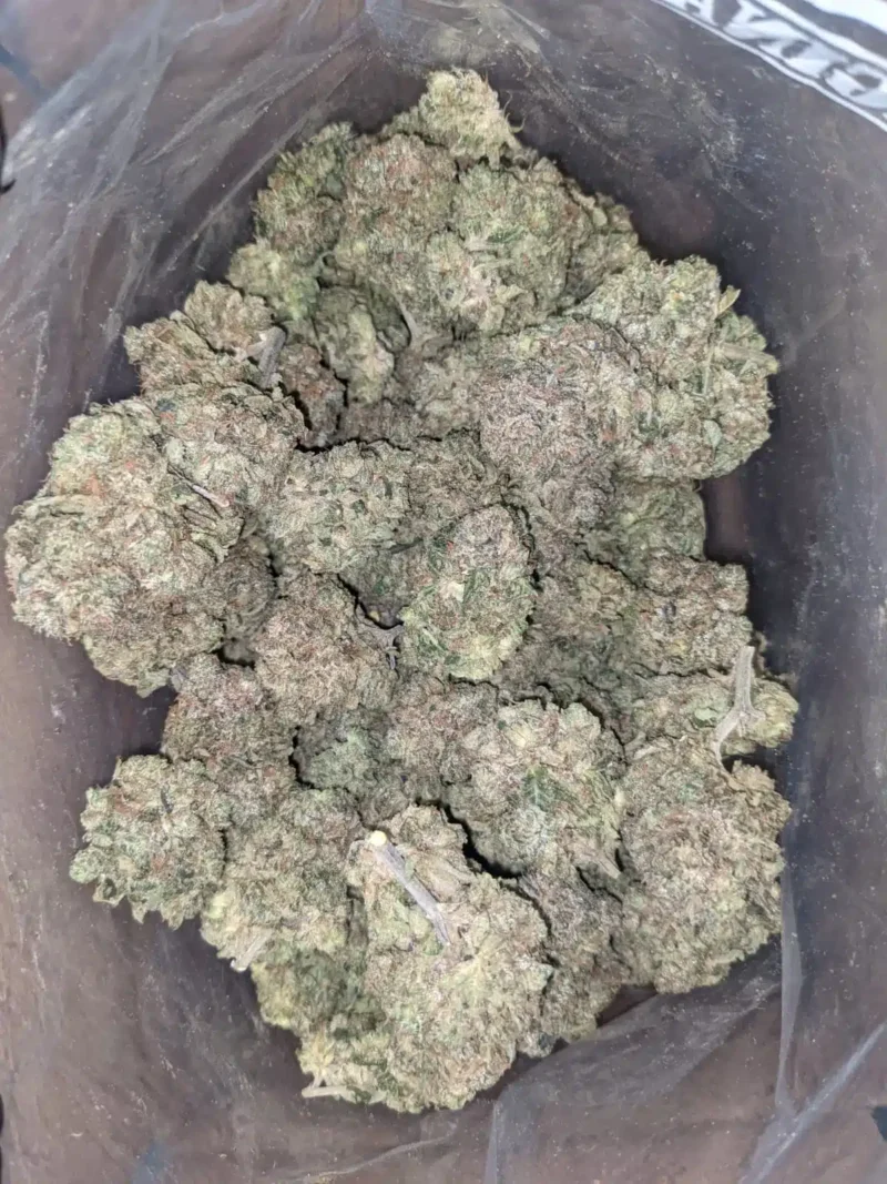 God Bubba - Image 4