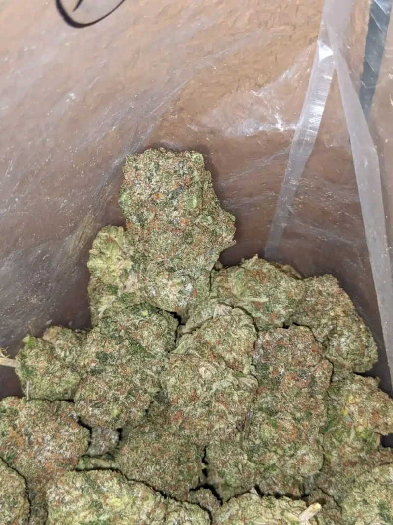 God Bubba #2 - Image 7