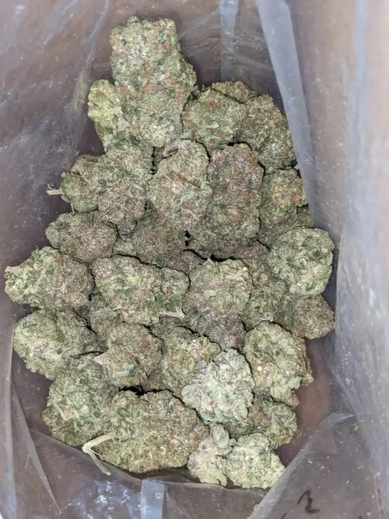 God Bubba #2 - Image 6