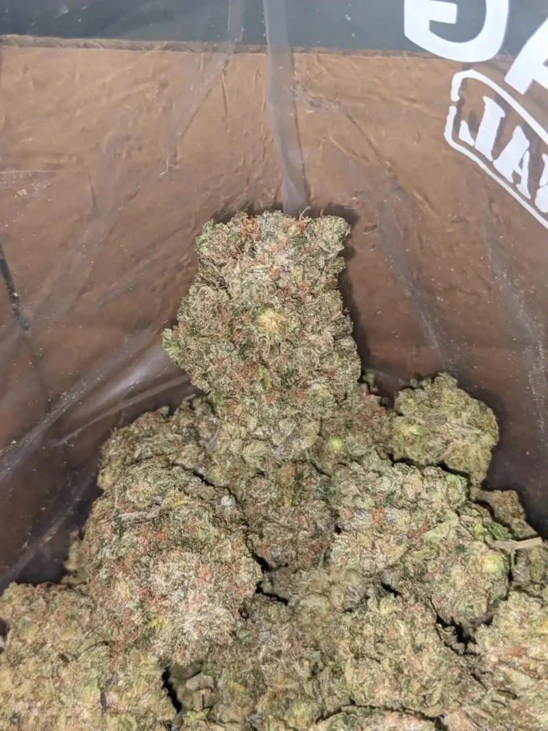 God Bubba - Image 6