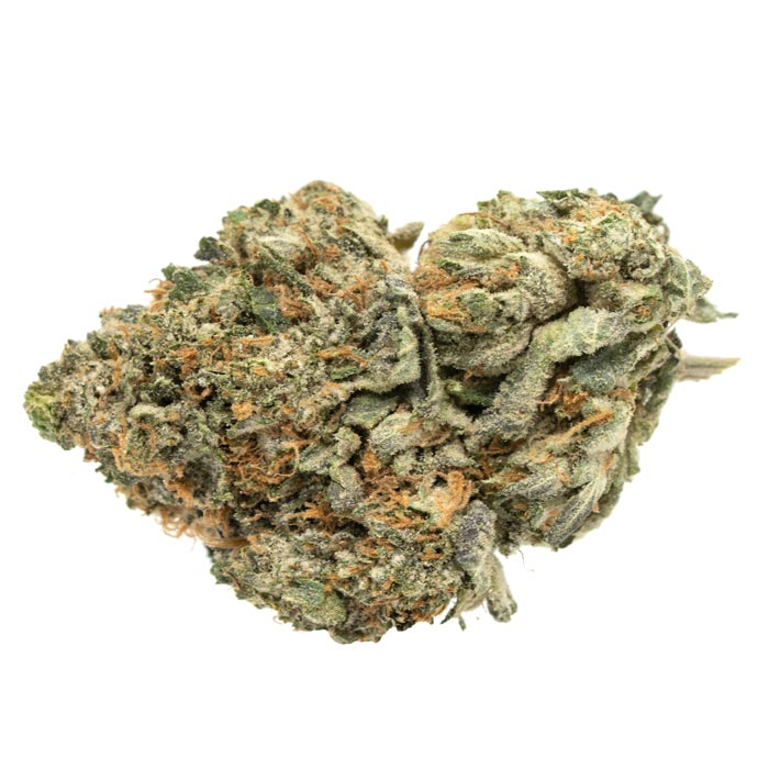 Godzilla Glue