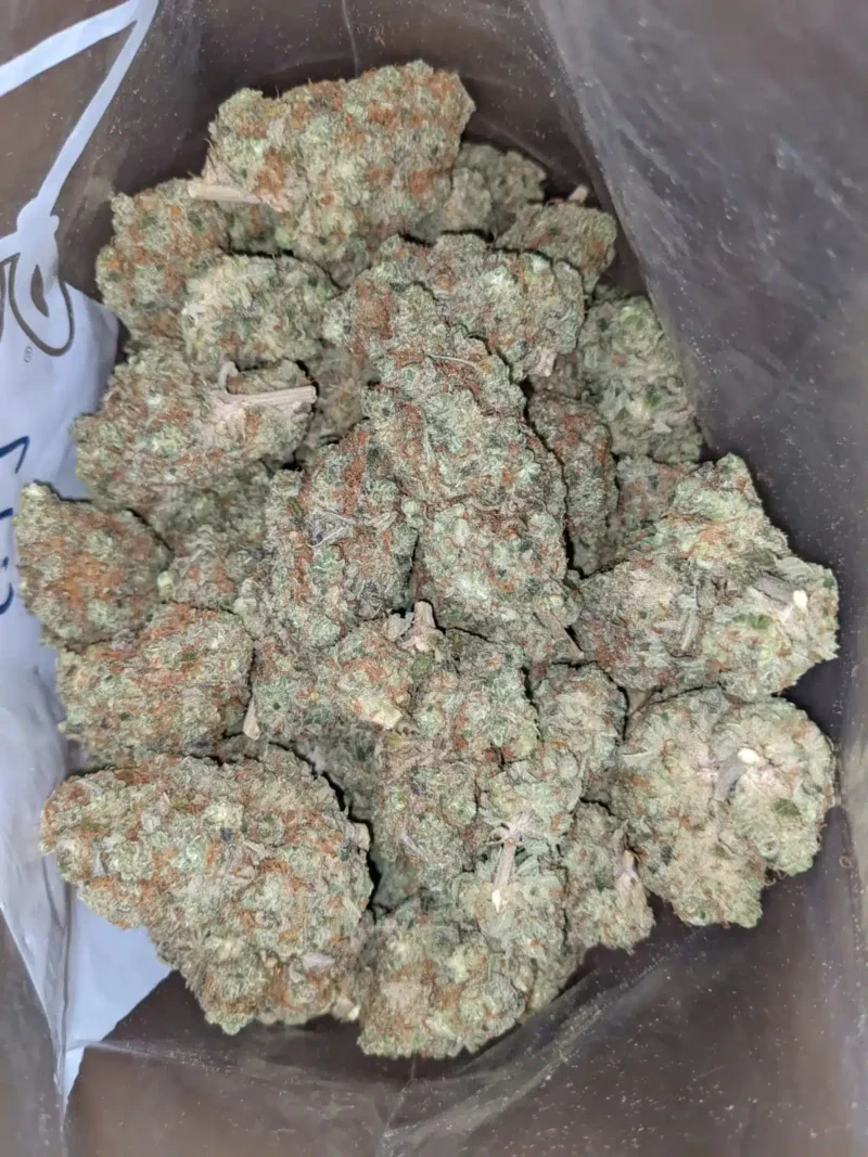 Golden Goat - Image 6