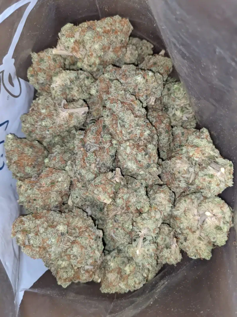 Golden Goat - Image 5
