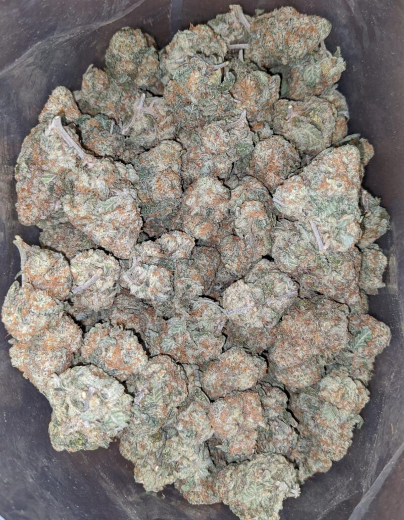 $ 49 Oz – Golden Goat - Image 4