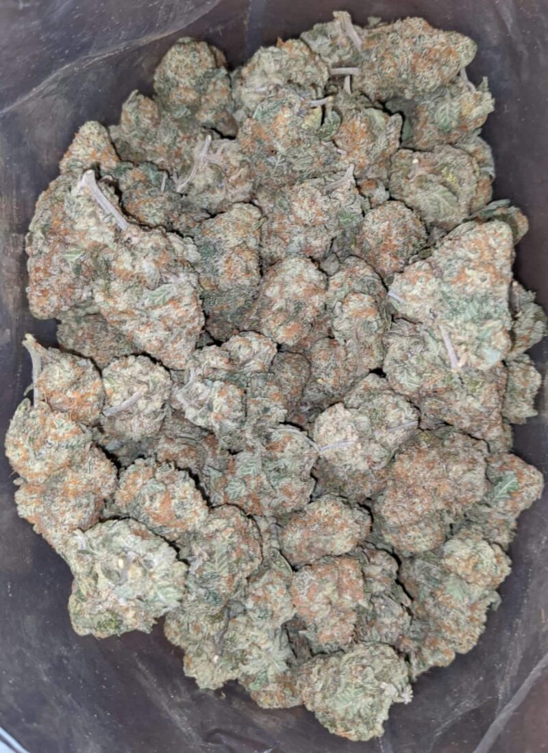 $ 49 Oz – Golden Goat - Image 7