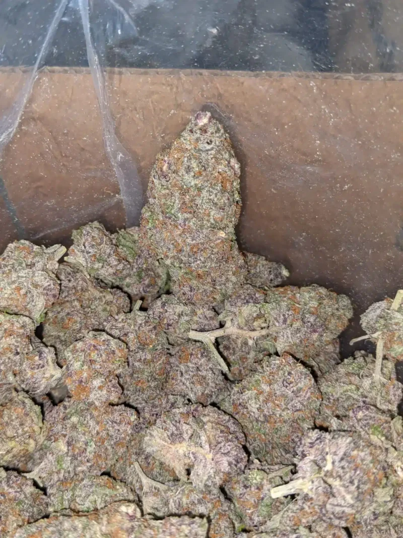 Granddaddy Purple - Image 5