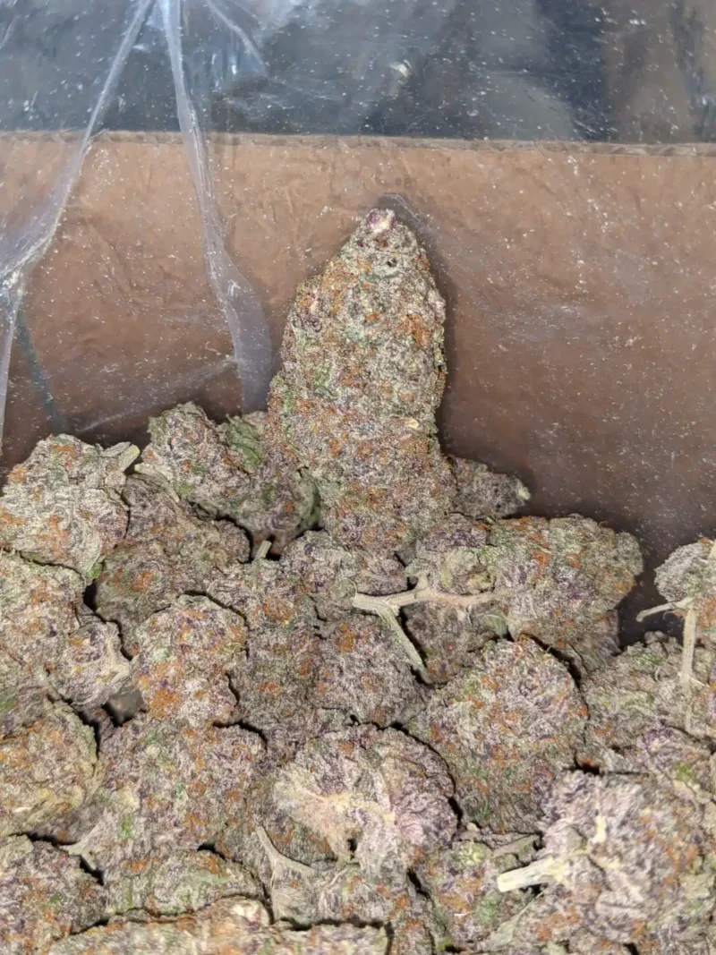 Granddaddy Purple - Image 6
