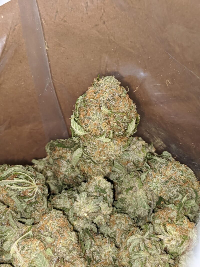 Grape Kush - Image 5