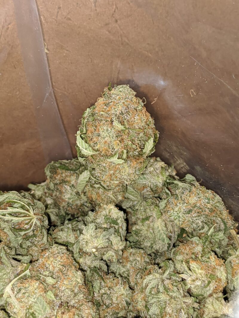 Grape Kush - Image 4