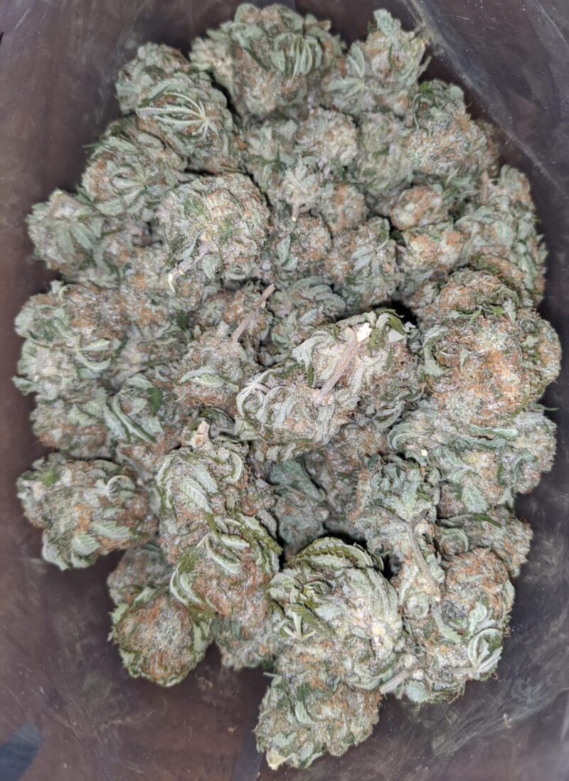 Grape Kush - Image 7