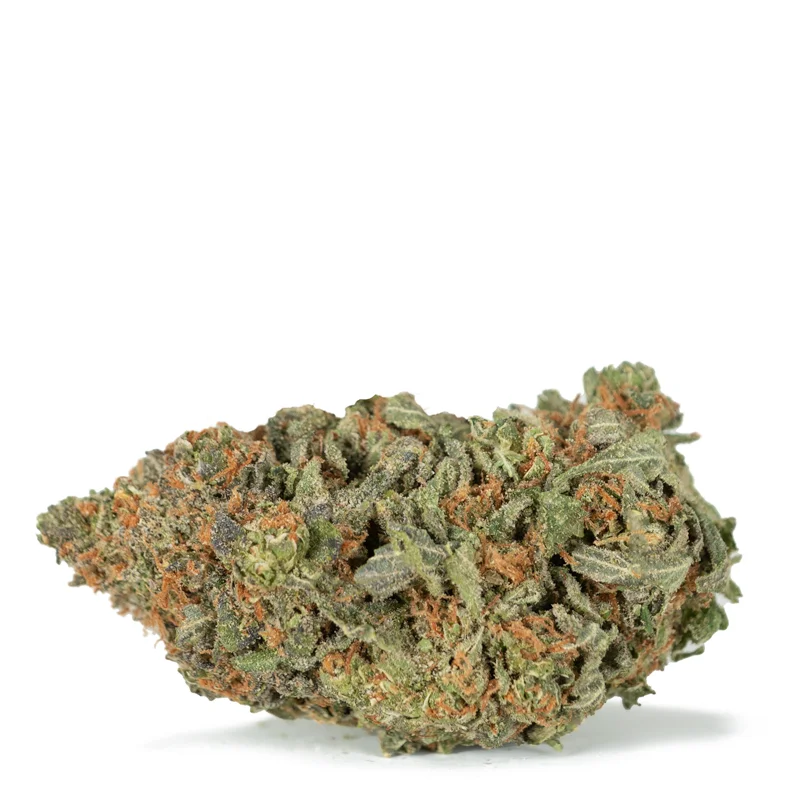 Grapefruit