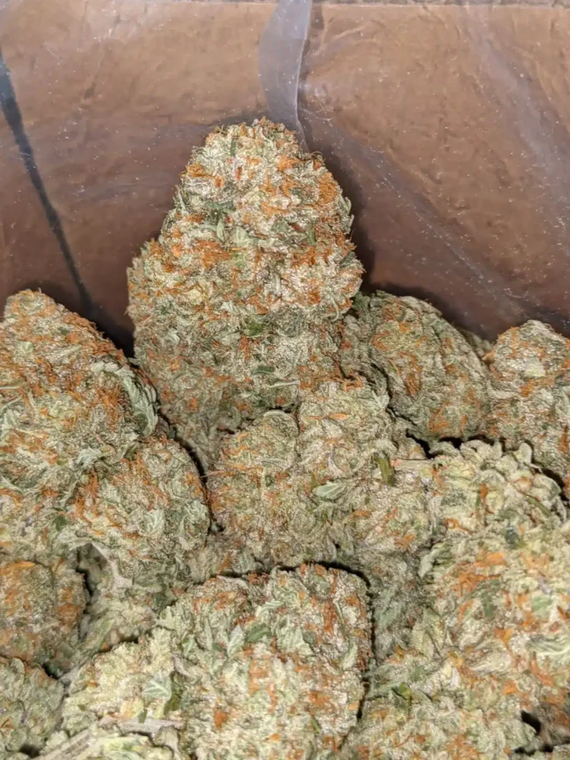 Grease Monkey - Image 4