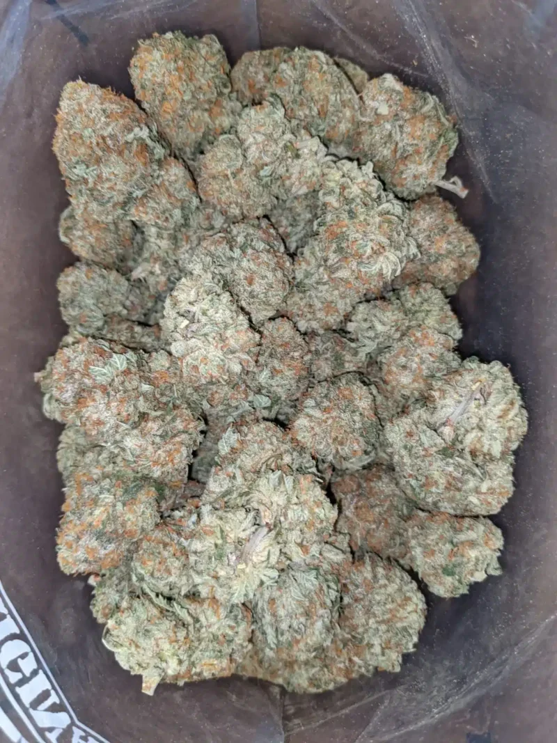 Grease Monkey - Image 3