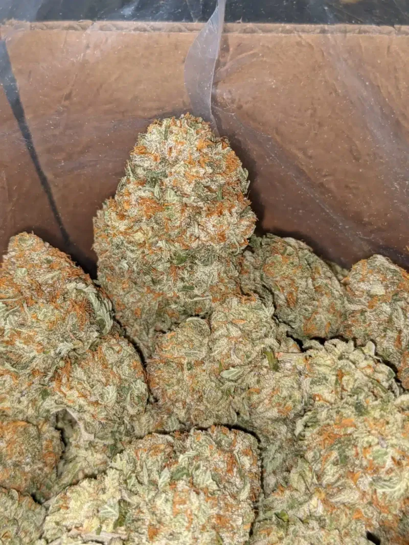 Grease Monkey - Image 5