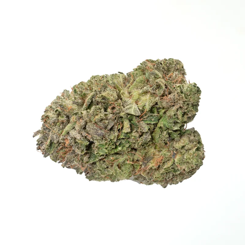 Greasy Pink